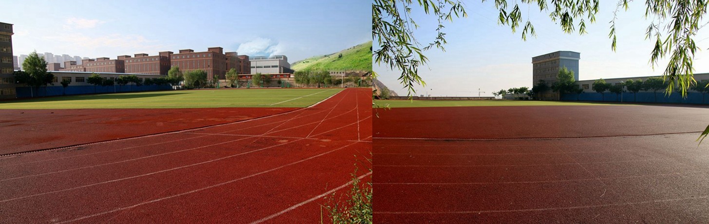 1636599243837655.jpg 10.jpg