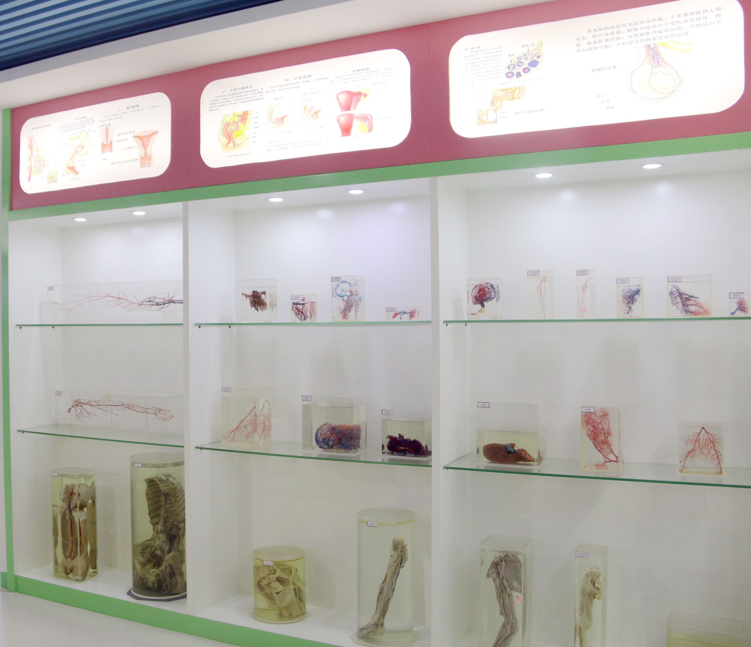 1718324121696251.jpg 1718324121696251.jpg