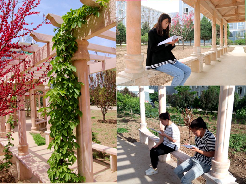 1591840508.jpg 111.jpg